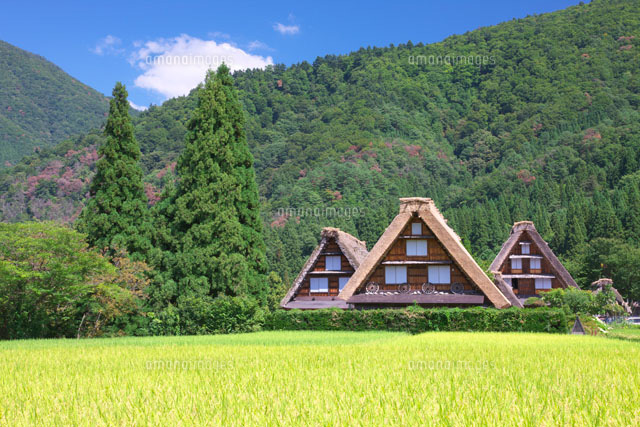 白川郷
(c)TAKASHI SATO/SEBUN PHOTO