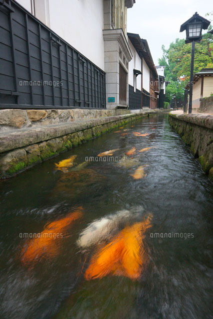 飛騨古川と鯉
(c)TAKASHI SATO/SEBUN PHOTO