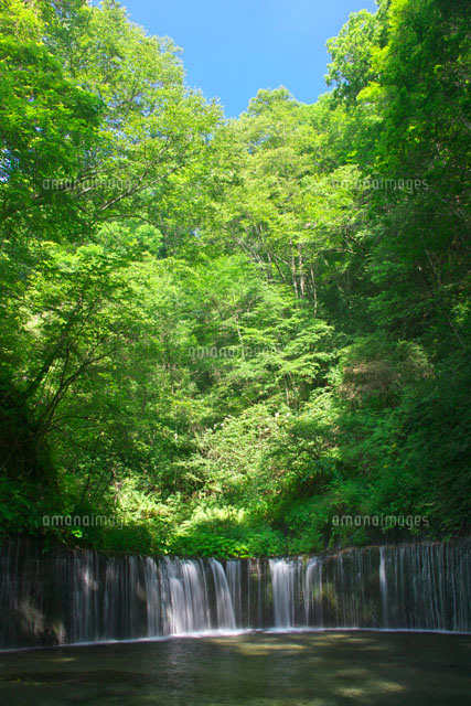 白糸の滝
(c)TAKASHI SATO/SEBUN PHOTO