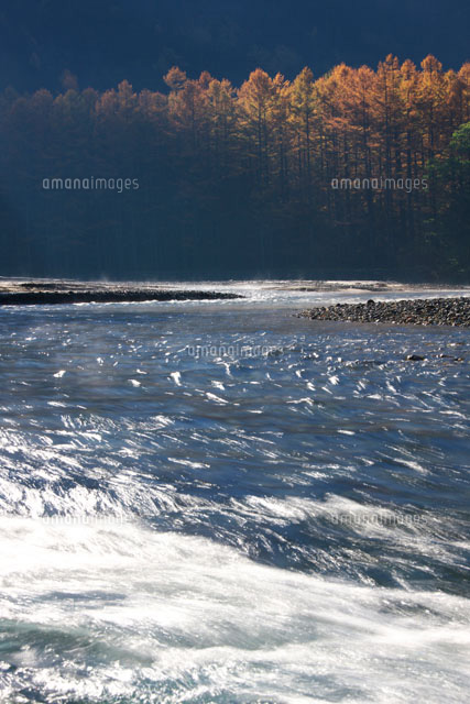 朝の梓川と紅葉のカラマツ並木 上高地
(c)TAKASHI SATO/SEBUN PHOTO