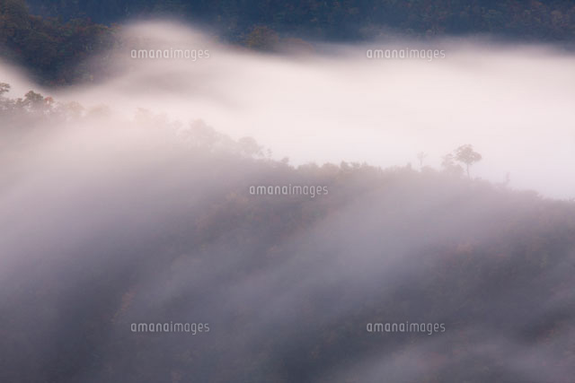 朝霧の稜線 奥只見
(c)TAKASHI SATO/SEBUN PHOTO