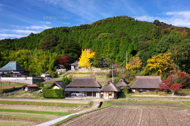 紅葉の八塔寺
(c)TAKASHI SATO/SEBUN PHOTO