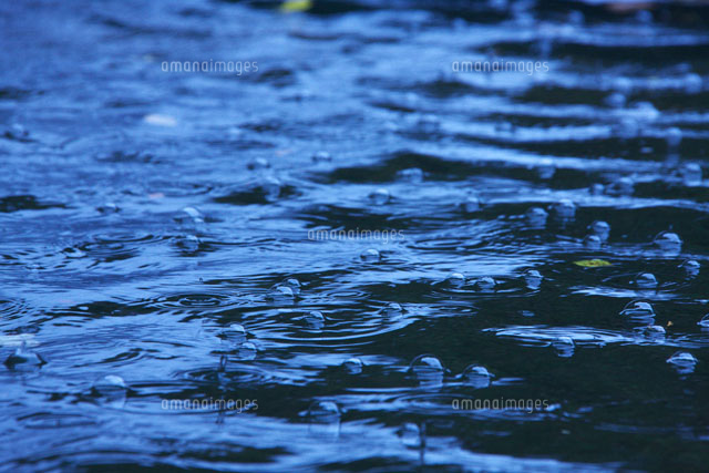 雨の水面
(c)TAKASHI SATO/SEBUN PHOTO