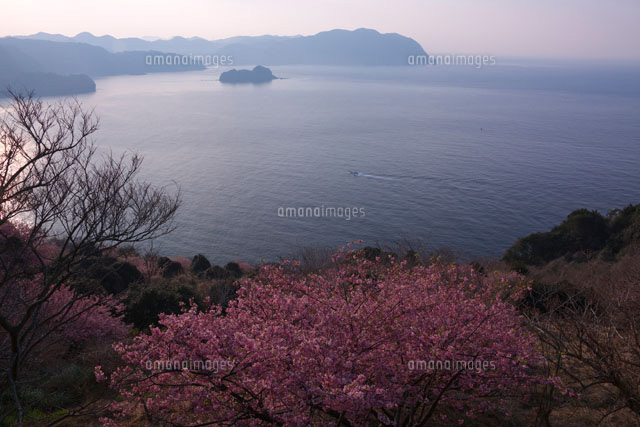みなみの桜咲く波勝崎 朝景
(c)TAKASHI SATO/SEBUN PHOTO
