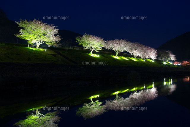 みなみの桜のライトアップ
(c)TAKASHI SATO/SEBUN PHOTO