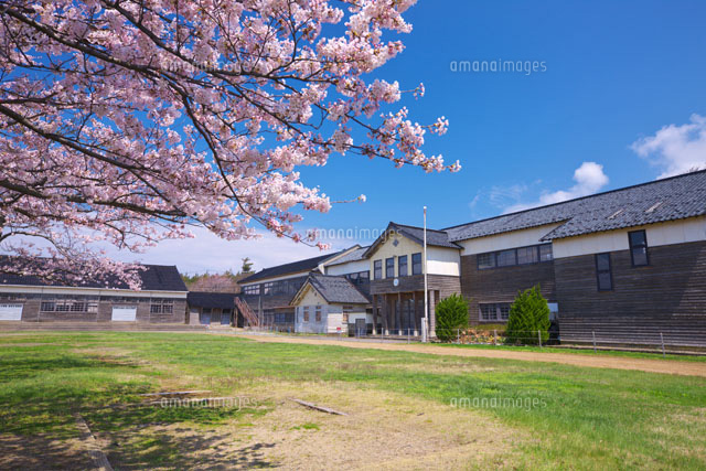 桜と木造校舎
(c)TAKASHI SATO/SEBUN PHOTO