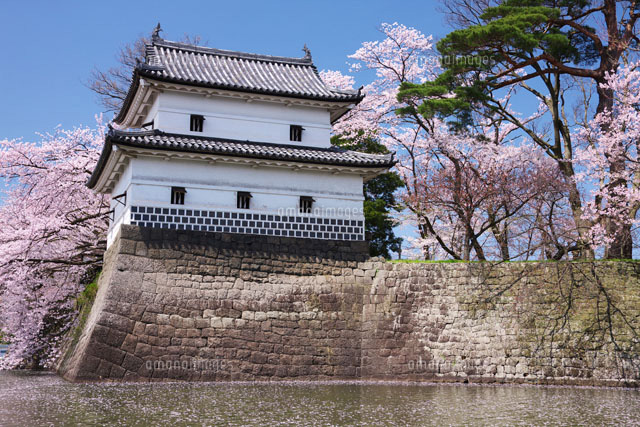 桜と新発田城
(c)TAKASHI SATO/SEBUN PHOTO