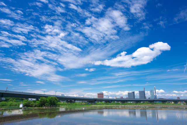 さいたま新都心と見沼田んぼの水田
(c)TAKASHI SATO/SEBUN PHOTO