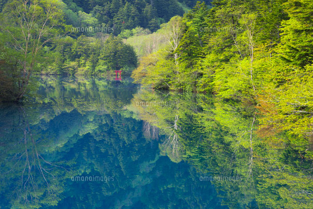 志賀高原の大沼池
(c)TAKASHI SATO/SEBUN PHOTO