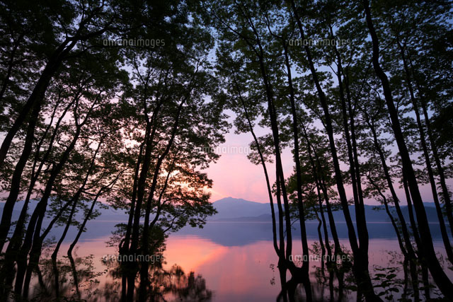 朝の田沢湖と木々
(c)TAKASHI SATO/SEBUN PHOTO