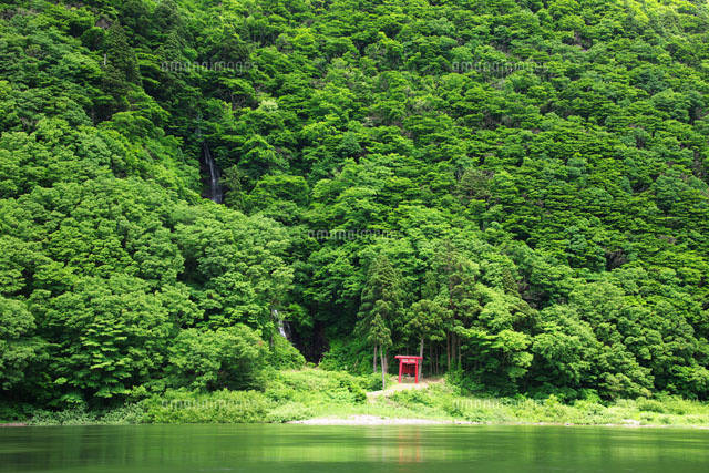 最上川 白糸の滝
(c)TAKASHI SATO/SEBUN PHOTO