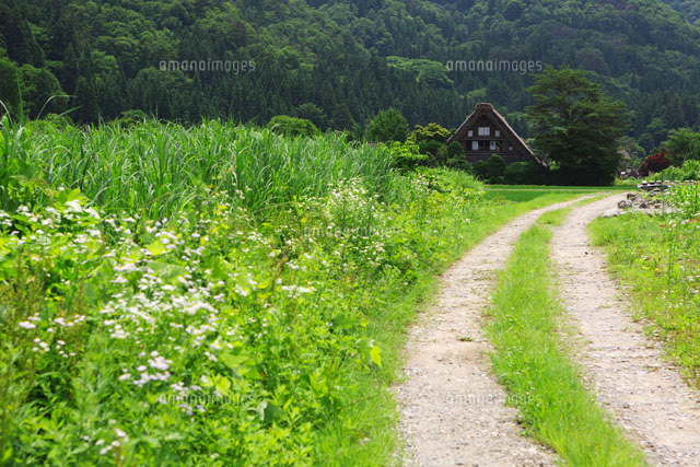 白川郷の砂利道
(c)TAKASHI SATO/SEBUN PHOTO