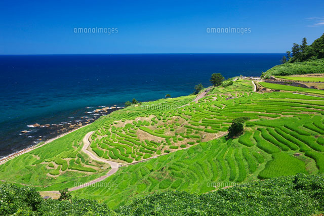 能登半島 白米の千枚田
(c)TAKASHI SATO/SEBUN PHOTO