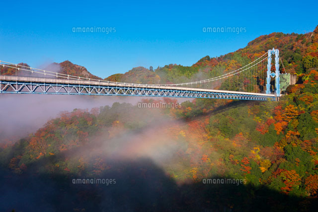 朝の虹と紅葉の竜神大吊橋
(c)TAKASHI SATO/SEBUN PHOTO