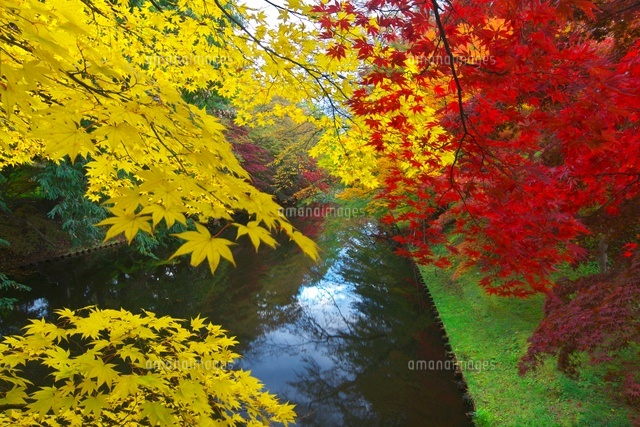 弘前城の紅葉
(c)TAKASHI SATO/SEBUN PHOTO