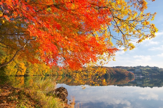 紅葉の一碧湖
(c)TAKASHI SATO/SEBUN PHOTO