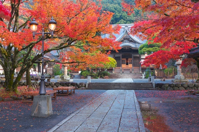 紅葉の修善寺
(c)TAKASHI SATO/SEBUN PHOTO