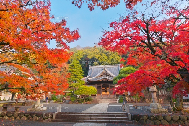紅葉の修善寺
(c)TAKASHI SATO/SEBUN PHOTO