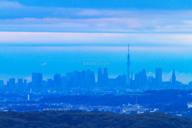 朝の新宿副都心ビル群とスカイツリー
(c)TAKASHI SATO/SEBUN PHOTO