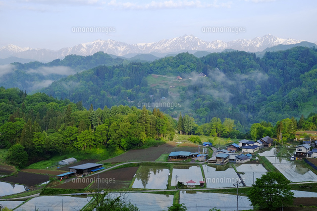 朝の田んぼと北アルプス
(c)TAKASHI SATO/SEBUN PHOTO