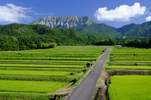 大山と棚田と道
(c)TAKASHI SATO/SEBUN PHOTO