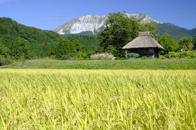 小屋と大山
(c)TAKASHI SATO/SEBUN PHOTO