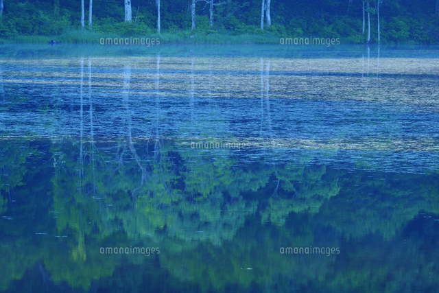白池
(c)TAKASHI SATO/SEBUN PHOTO