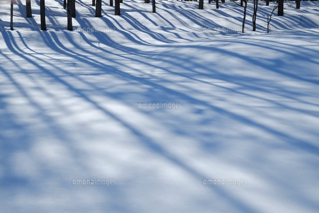 雪原の影
(c)TAKASHI SATO/SEBUN PHOTO