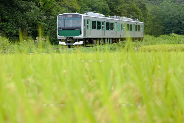 烏山線蓄電池駆動電車のACCUM
(c)TAKASHI SATO/SEBUN PHOTO