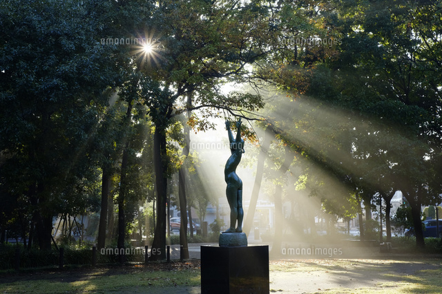朝の後谷公園 戸田市
(c)TAKASHI SATO/SEBUN PHOTO