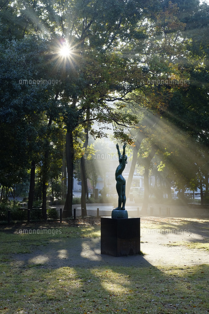 朝の後谷公園 戸田市
(c)TAKASHI SATO/SEBUN PHOTO