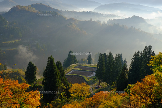 朝の木沢の棚田
(c)TAKASHI SATO/SEBUN PHOTO
