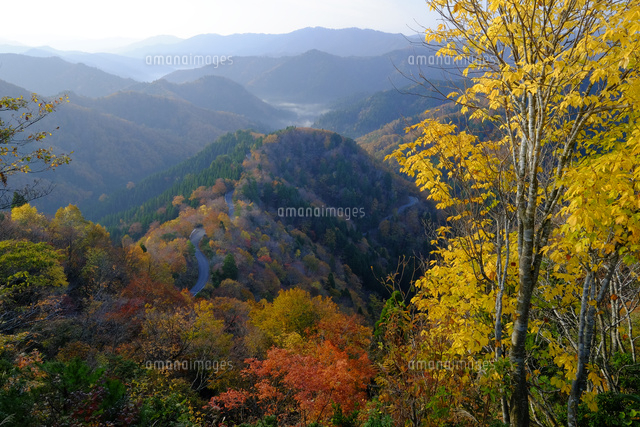 おにゅう峠
(c)TAKASHI SATO/SEBUN PHOTO