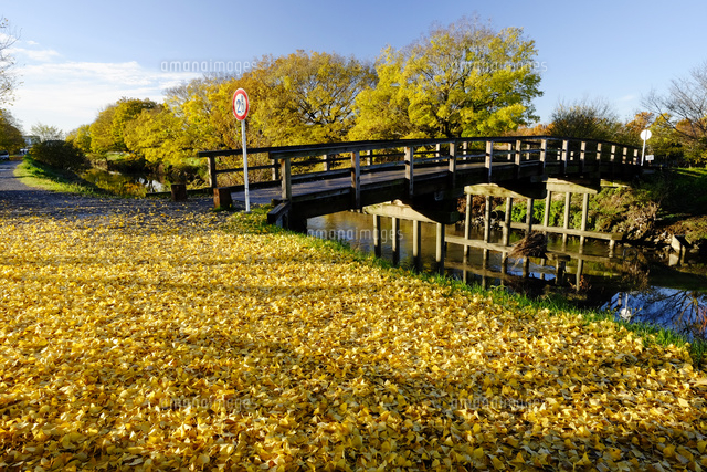 見沼田んぼの桜橋
(c)TAKASHI SATO/SEBUN PHOTO