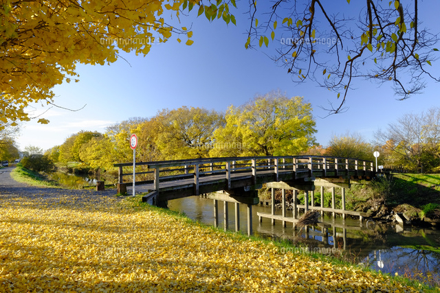 見沼田んぼの桜橋
(c)TAKASHI SATO/SEBUN PHOTO