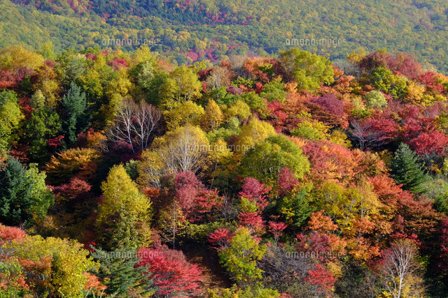 八幡平の紅葉
(c)TAKASHI SATO/SEBUN PHOTO