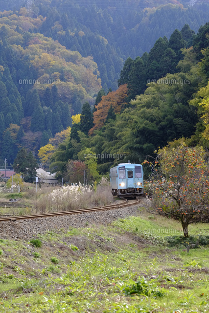 越美北線
(c)TAKASHI SATO/SEBUN PHOTO