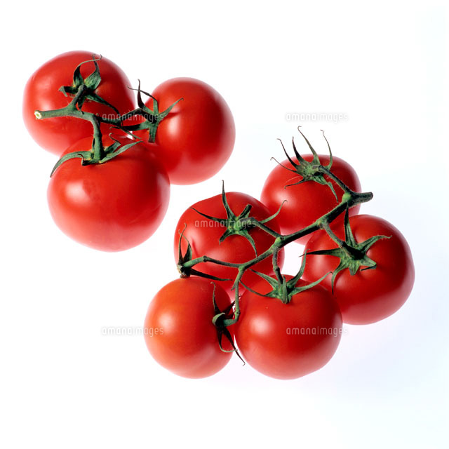 Vine Tomato
(c)GUY MARCHE/orion