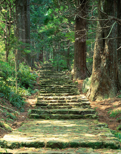 熊野古道の階段 那智勝浦町 和歌山県
(c)NOBUAKI SUMIDA/SEBUN PHOTO