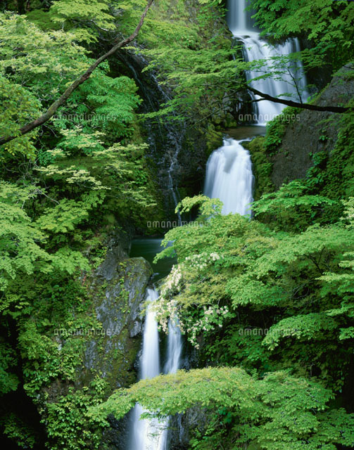 初夏の十二滝 平田町 山形県
(c)NOBUAKI SUMIDA/SEBUN PHOTO