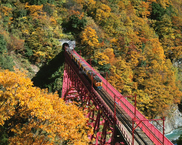 秋の宇奈月トロッコ列車 富山県
(c)NOBUAKI SUMIDA/SEBUN PHOTO