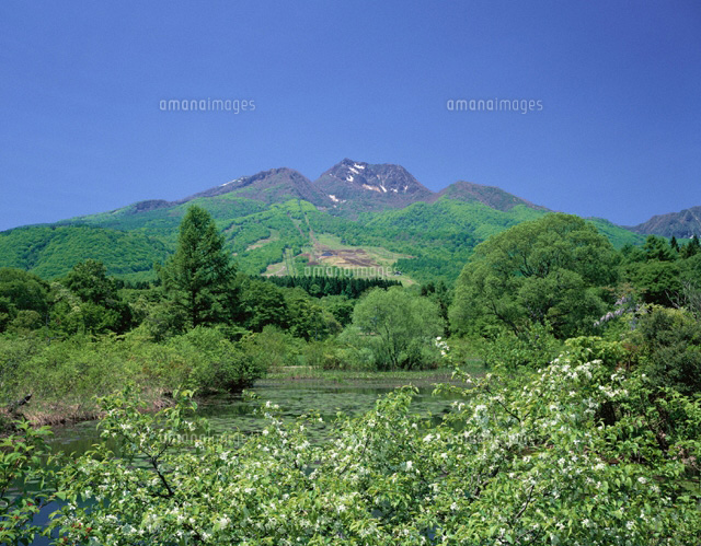 花といもり池と妙高山 新潟県
(c)NOBUAKI SUMIDA/SEBUN PHOTO