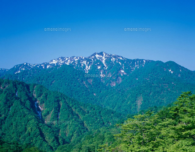 新緑の向白神岳 深浦町 青森県
(c)NOBUAKI SUMIDA/SEBUN PHOTO