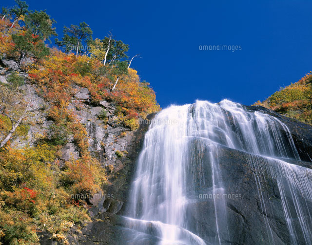 黄葉した秋の安の滝 阿仁町 秋田県
(c)NOBUAKI SUMIDA/SEBUN PHOTO