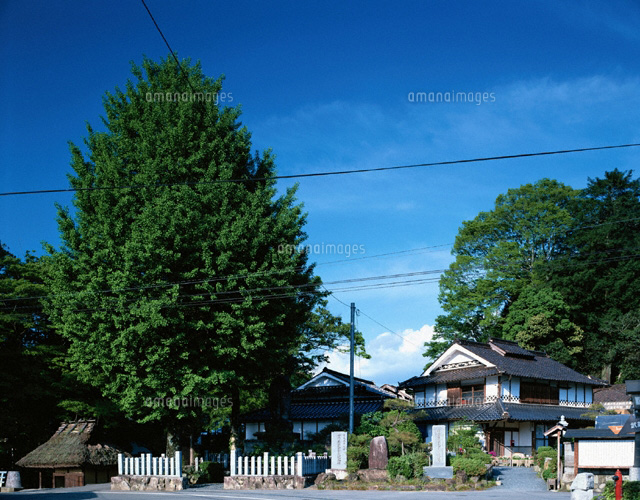 宮本武蔵の生誕地碑と生家 大原町 岡山県
(c)NOBUAKI SUMIDA/SEBUN PHOTO