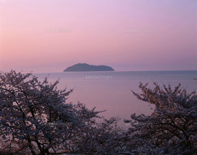 朝焼の琵琶湖と竹生島と桜
(c)NOBUAKI SUMIDA/SEBUN PHOTO