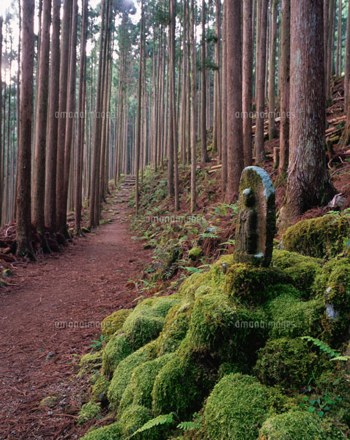 春の熊野古道と道祖神 和歌山県
(c)NOBUAKI SUMIDA/SEBUN PHOTO
