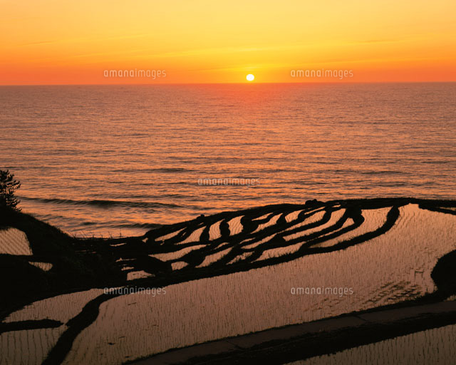 千枚田の夕日 輪島市 石川県
(c)NOBUAKI SUMIDA/SEBUN PHOTO