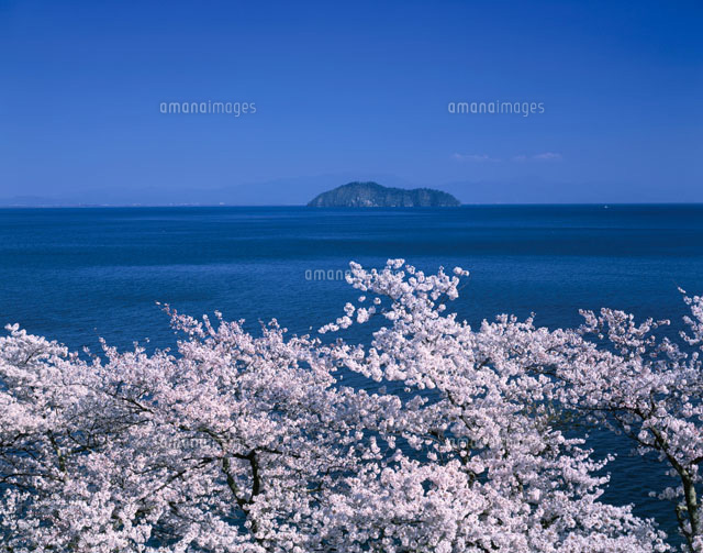 竹生島と海津大崎の桜 滋賀県
(c)NOBUAKI SUMIDA/SEBUN PHOTO