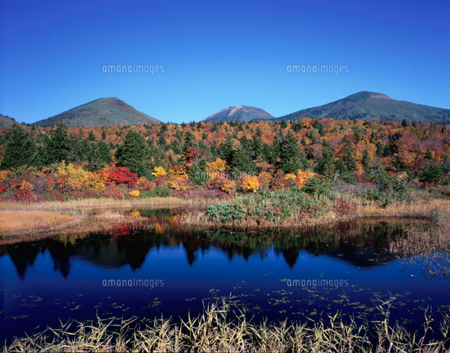 紅葉の睡蓮沼
(c)NOBUAKI SUMIDA/SEBUN PHOTO